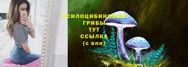 МДПВ Дедовск
