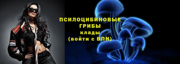 МДПВ Дедовск