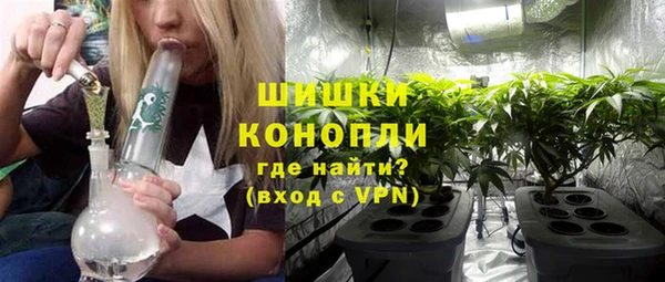 МДПВ Дедовск