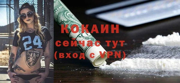 МДПВ Дедовск