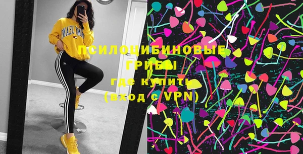 ПСИЛОЦИБИНОВЫЕ ГРИБЫ Дегтярск
