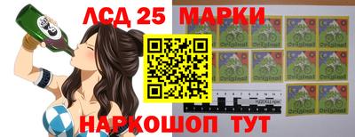 гашик Гатчина