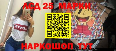 гашик Гатчина