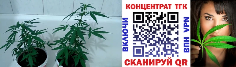 даркнет сайт  Зеленогорск  ТГК THC oil 