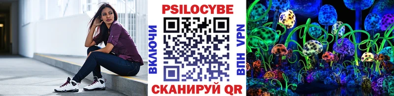 Псилоцибиновые грибы Psilocybine cubensis  Зеленогорск 