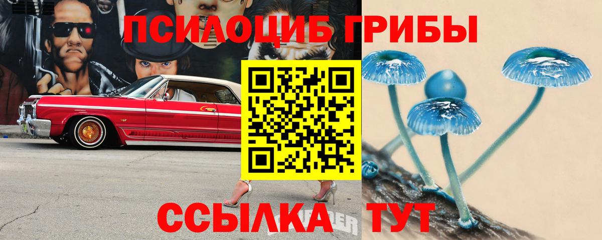 Галлюциногенные грибы Cubensis  Псилоцибиновые грибы Psilocybe  Вход с VPN  Зеленогорск 