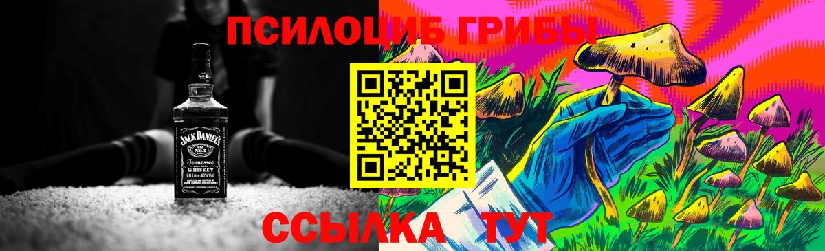 Галлюциногенные грибы Psilocybe  Зеленогорск 