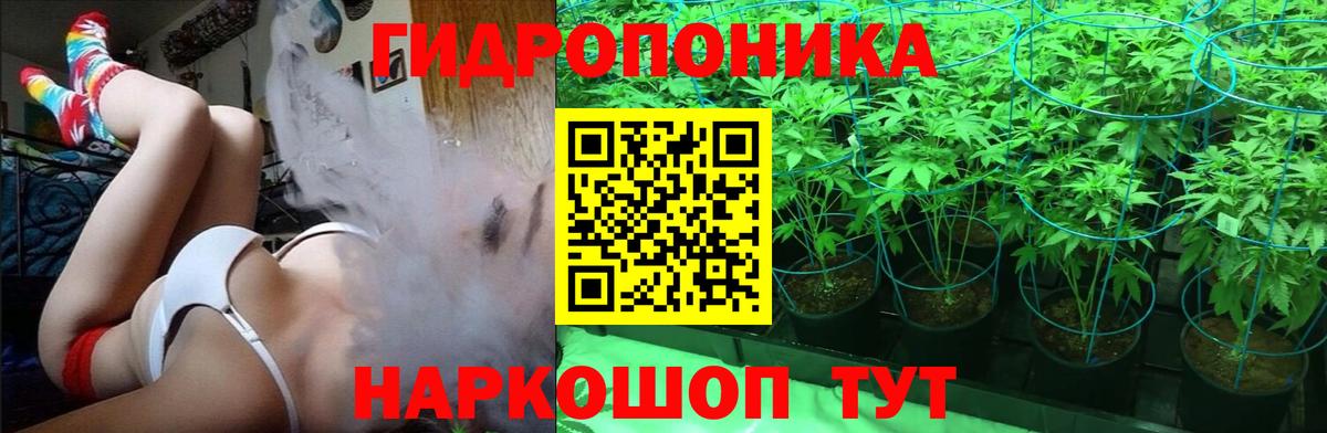 Каннабис планчик Зеленогорск